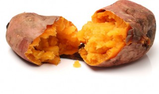 阳台种红薯的方法 阳台种红薯的方法与技术