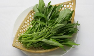 阳台种空心菜的方法(阳台种空心菜怎么施肥)