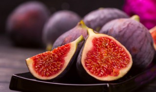 阳台上可以种什么水果 在阳台可以种什么水果