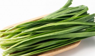 如何种好韭菜（如何种好韭菜根）