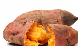 阳台怎么种红薯叶 阳台种的红薯叶能吃吗