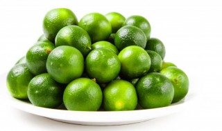 什么花放家里招财 哪种花放在家里招财