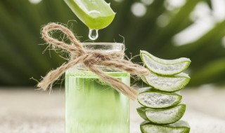 家里放什么花对身体好 家里摆放什么花对人身体好