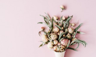 家里餐桌上放什么花好 餐厅桌上放什么花好