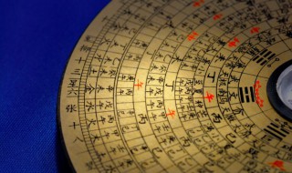 金蟾放家里什么位置好(金蟾放家里摆什么位置好)