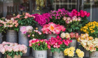 家里放花有什么讲究（在家里摆花有什么讲究）