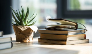 客厅家里放什么花最好（家里客厅放什么花好呢）