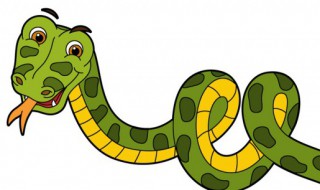 家里放什么蛇不敢进屋（家里放什么防止蛇进屋）