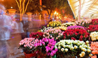 家里放什么鲜花比较好（家里面放什么鲜花比较好）