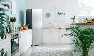 属鸡的家里放什么最好 属鸡的家里摆放什么好