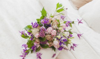 家里放什么鲜花好（家里放什么鲜花好看）