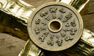 属兔的家里放什么好（属兔家里不宜放什么?）