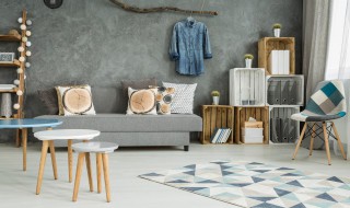 新家里放什么植物最好（新家摆放什么植物好）