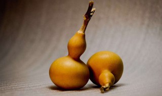 家里放葫芦有什么讲究 在家摆放葫芦的讲究