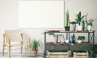 外出家里的花怎么解决 家里出门花花怎么办