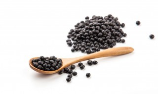 黑豆水培方法（黑豆的水培方法）