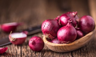 洋葱水培方法 洋葱水培方法 步骤