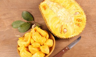 菠萝蜜核水培方法（菠萝蜜核怎样水培）