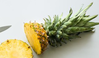 菠萝头水培方法（水培菠萝头能长菠萝吗）