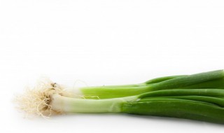 水培大葱的方法（水栽培大葱方法）