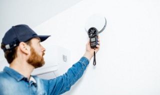 家里放什么可以吸甲醛 房间里放什么吸甲醛最好