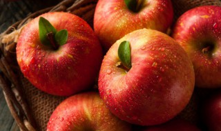 微波炉烤苹果片的做法（烤苹果片的做法 微波炉）