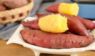 地瓜盆栽水培的方法（水培地瓜怎么种植方法）