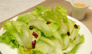 阳台种生菜发芽 种菜发芽后