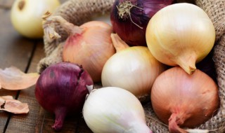 阳台可以种什么菜 家里阳台可以种什么菜