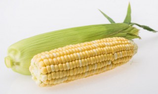 玉米芝士的做法微波炉(芝士玉米微波炉怎么做)