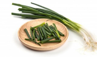 如何在阳台种小葱（如何种好阳台的葱）