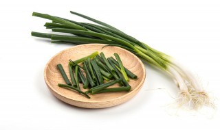 夏天阳台种葱怎么种才好 阳台的葱怎么才种的好