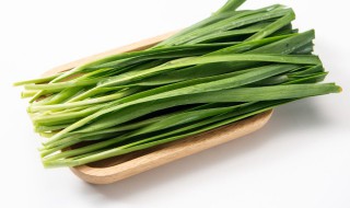 阳台种韭菜怎样种才能粗壮 怎样在阳台种韭菜易长