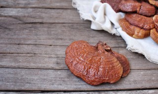 灵芝放家里有什么讲究 干灵芝放家里有什么讲究