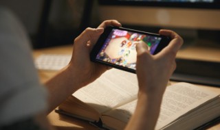 迷你世界的树怎么种（迷你世界的树怎么种?工具在哪儿找）