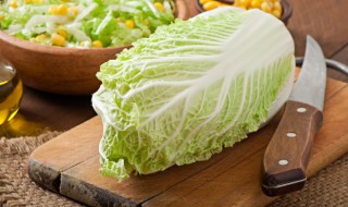 阳台种大白菜的方法 在阳台种小白菜怎样种呢