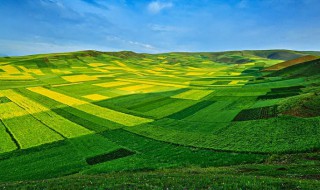 我们如何种好庄稼的谚语（关于庄稼的农家谚语）