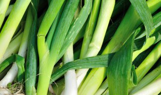 阳台上可以种什么菜 在家阳台上可以种什么菜