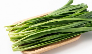 阳台种韭菜的方法 阳台上种韭菜要使用什么方法才好