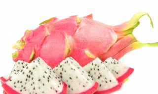 阳台种火龙果方法 阳台怎么种火龙果