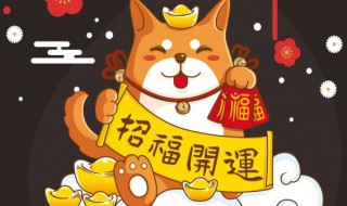 招财猫放家里什么讲究 招财猫放哪里有讲究吗