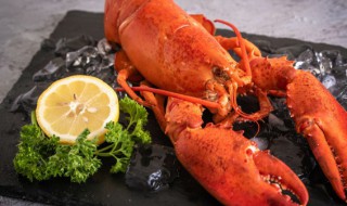 龙虾要怎么养才能养好 养龙虾要怎么养?在家里才能养大