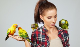 鸟要怎么养冬天 冬天怎样养鸟