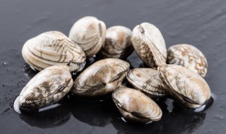 花甲要怎么养 花甲要怎么养没有沙子