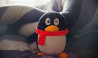 qq留言图片怎么弄（QQ空间怎么留言图片）