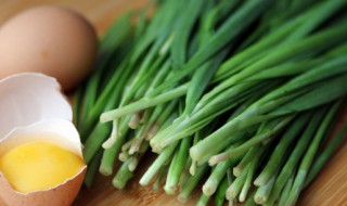 怎么种植韭菜 在家怎么种植韭菜