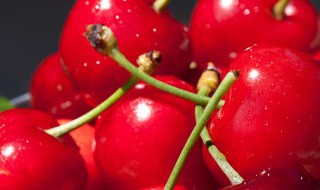 樱桃拼音怎么写 樱桃拼音怎么写的拼音怎么写拼音怎么拼写