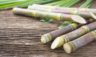 南方甘蔗怎么种植 甘蔗只能在南方种植