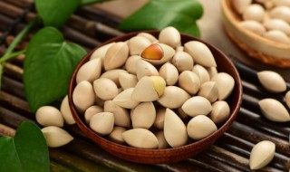 微波炉烤白果的做法（微波炉烤白果的做法窍门）