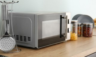 米饭披萨的做法微波炉 披萨的家常做法微波炉